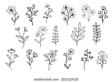 Collection of flower herbs natural leaves. Decorative beauty elegant vector illustration for hand drawing design.