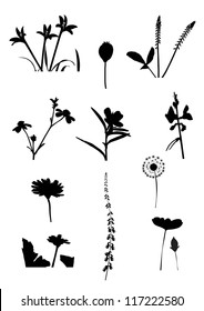 Collection of flower isolate