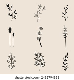 A collection of flower and leaf silhouettes displayed against a beige backdrop. This art features branches, twigs, grass, and a monochrome color scheme