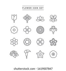 collection of flower line icons