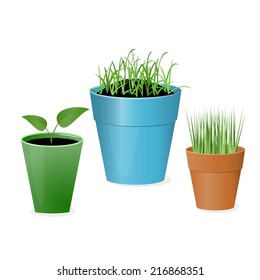 Collection of flower pots with greenery