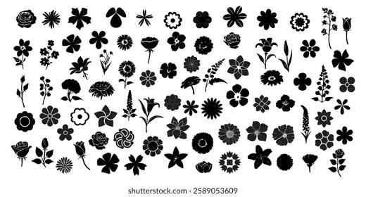 Collection of Flower Silhouettes Featuring Various Floral Designs Including Roses, Daisies, Tulips, Lilies, Wildflowers, Blossoms in High Resolution Vector Format for Botanical and Decorative Design