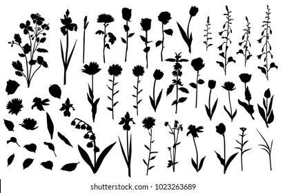 1000 Flowers Silhouette Stock Images Photos Vectors Shutterstock