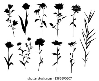 Collection of flower silhouettes, rose, Tulip, Daisy, bell, dandelion, chrysanthemum, iris, wild flower, grass, leaves, black color, isolated on white background