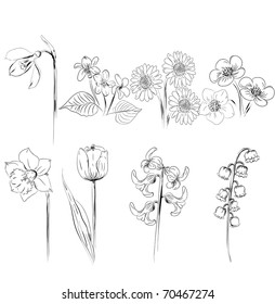 collection of flower sketches