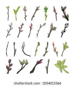 Collection of flowering twigs of trees.