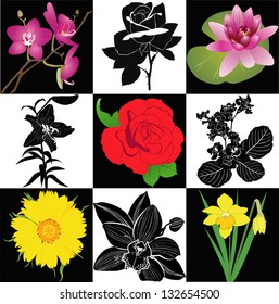 Collection of flowers 