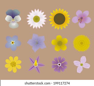 A collection of flowers