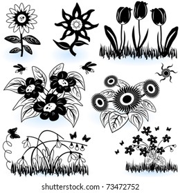 Collection of flowers