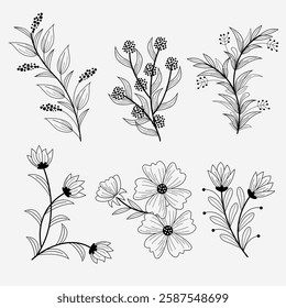 Collection of flowers. abstract flower background. on white background, Vector illustration botanical design and creative idea.
