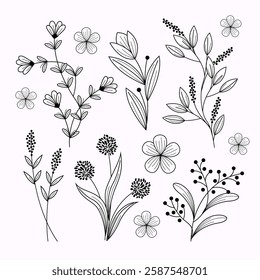 Collection of flowers. abstract flower background. on white background, Vector illustration botanical design and creative idea.
