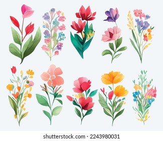 collection of flowers Beautiful Watercolor set of Design Ornaments