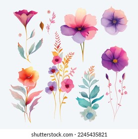 collection of flowers Beautiful Watercolor set of Design Ornaments