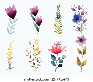 collection of flowers Beautiful Watercolor set of Design Ornaments