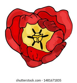 A collection of flowers of a blooming tulip on an isolated white background. The contour is drawn by hand. Set of vintage elements for decorating cards, wedding invitations and much more.