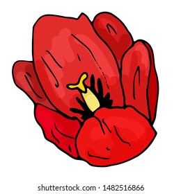 A collection of flowers of a blooming tulip on an isolated white background. The contour is drawn by hand. Set of vintage elements for decorating cards, wedding invitations and much more.