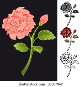Collection of flowers of different colors. Vector.
