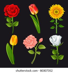 Collection of flowers of different colors. Vector.