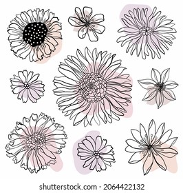 colección de dibujos de flores vector. Todos los objetos de dibujo aislados en fondo blanco. Dibujo vectorial de flores florecientes. Flores forestales florecientes, ilustración vectorial detallada a mano.