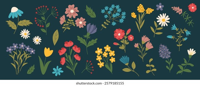 Collection of flowers and floral elements on dark background. Concept of nature, botanical decoration, summer, spring, and holiday beauty. Vector hand drawn cliparts.