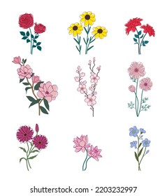 colección de flores con follaje