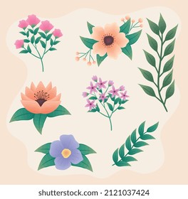 colección de flores y hojas
