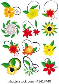 La colección de flores y hojas al diseño. Ilustración del vector