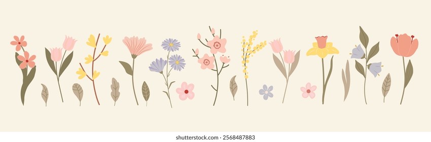 Collection of flowers and leaves. A vector set of elements for decorating spring, Easter, Mother's Day and March 8th. Spring flowers in soft pastel colors. Set of floral elements