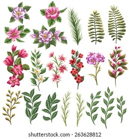 Collection of flowers and leaves in watercolor style