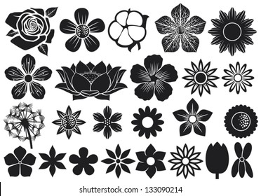 collection of flowers (lotus, dandelion, cherry blossom, rose, cotton, tulip, violet, hibiscus)