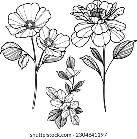 Collection of flowers made with lines. Hand drawn vector illustration.