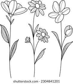 Colección de flores hechas con líneas. Ilustración vectorial dibujada a mano.