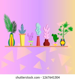 A collection of flowers in multi-colored pots. Plants in the African style. Cacti.