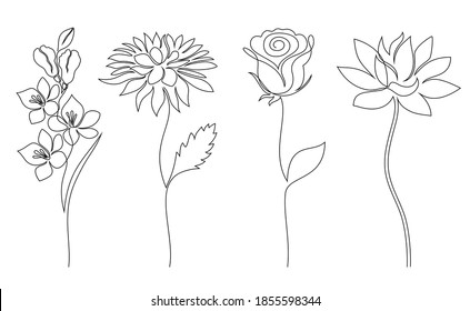 Collection of flowers on white background. One line drawing style.