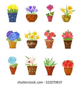 collection of flowers planted in ceramic pots for your design