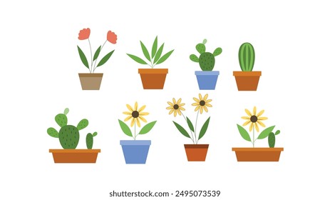 Collection of flowers in pots arranged flat and isolated on white background. 