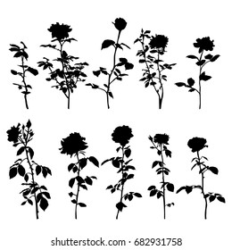 Collection of flowers rose different types,vector silhouettes, black color, isolated on white background