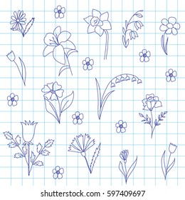 Collection of flowers in a school notebook, the drawing a scribble