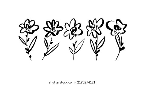 Collection of flowers stems. Hand drawn vector ink illustrations isolated on white background. Chrysanthemums, chamomiles or daisies flowers. Botanical illustration. Grunge style ink painted elements