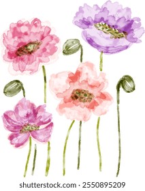 collection of flowers watercolour hand drawn illustration clipart with isolated white background