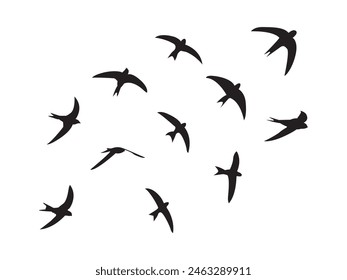 Collection of flying bird silhouettes. group of flying birds silhouette, A flock of flying birds. isolated bird flying. tattoo design.