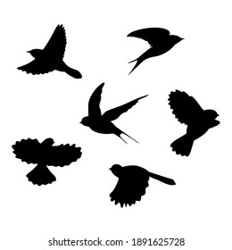Collection of flying birds silhouettes on white background.