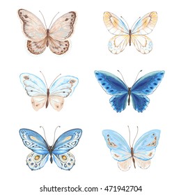 Collection of flying butterflies blue, yellow and brown colors. Vector illustration in vintage style.