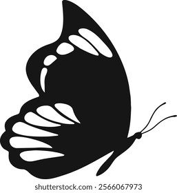 Collection of Flying Butterfly Silhouette Illustration