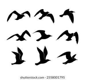 A collection of flying seagull silhouettes in various dynamic poses, presented as a vector image, perfect for coastal-themed designs, logos, and creative projects.