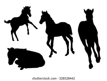 Collection of Foal Silhouettes on White Background