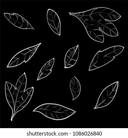 collection of foliage and branches