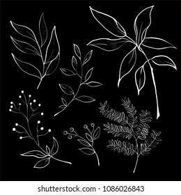 collection of foliage and branches