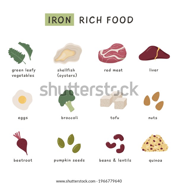 Collection Food Containing Iron Red Meat Stock Vector (Royalty Free ...