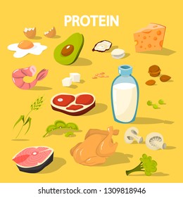 Collection of food full of protein. Cheese and chicken, milk and tuna. Healthy organic food. Isolated flat vector illustration